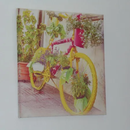 Dreams 게스트하우스 3*