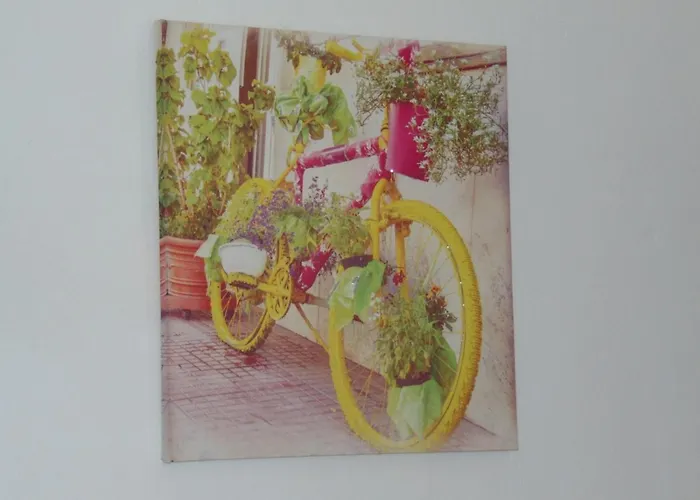 Dreams Guest house 3*